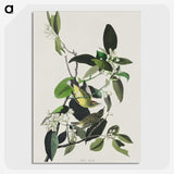 2-62_John-James-Audubon_picture-crop