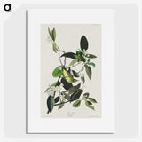 2-62_John-James-Audubon_picture
