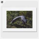 2-62_John-Margolies_picture