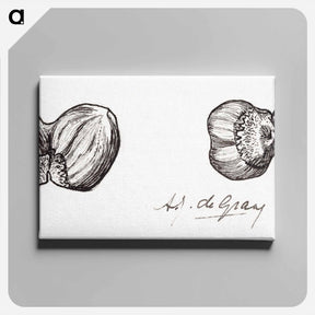 アートパネル-Two hazelnuts sketches - ユリー デ フラーハ Canvas.