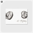 2-62_Julie-de-Graag_postcard