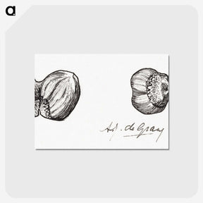 2-62_Julie-de-Graag_postcard