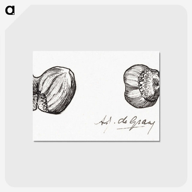 2-62_Julie-de-Graag_postcard