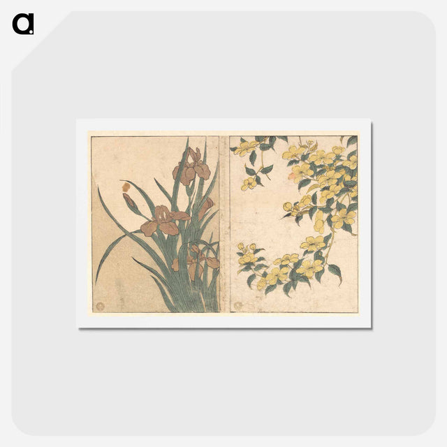 アートポストカード-Cherry Blossoms and Irises - 喜多川 歌麿 Postcard.