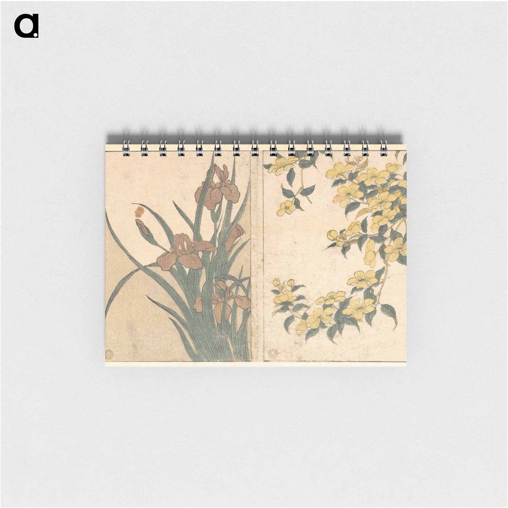 Cherry Blossoms and Irises - 喜多川 歌麿 Memo.