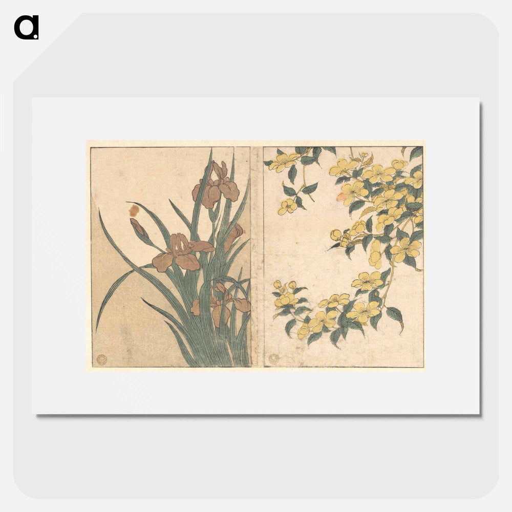 Cherry Blossoms and Irises - 喜多川 歌麿 Poster.
