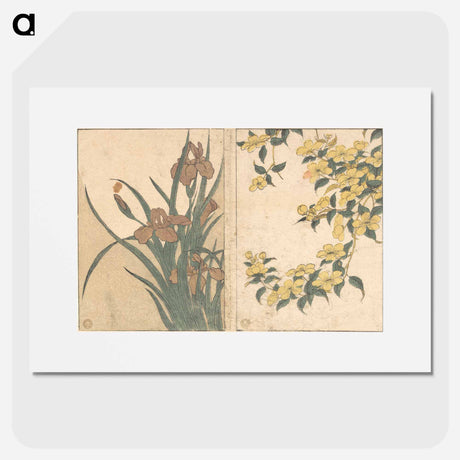 アートポスター-Cherry Blossoms and Irises - 喜多川 歌麿 Poster.