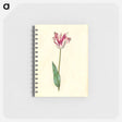 アートメモ帳-Tulipa Gesneriana
 - マリア ジビーラ メーリアン Memo.