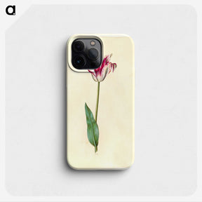 2-62_Maria-Sibylla-Merian_phone