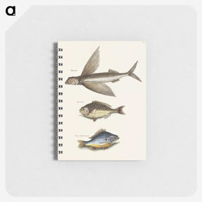 2-62_Mark-Catesby_memo