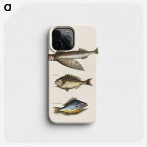 2-62_Mark-Catesby_phone