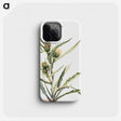 2-62_Mary-Vaux-Walcott_phone