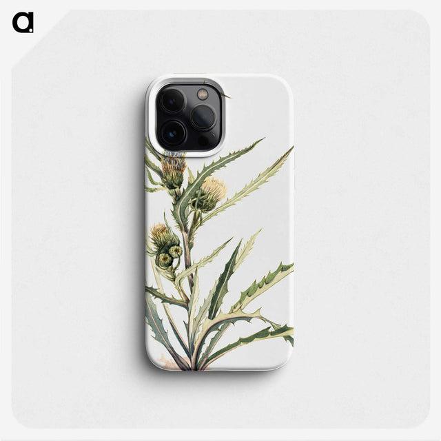 2-62_Mary-Vaux-Walcott_phone