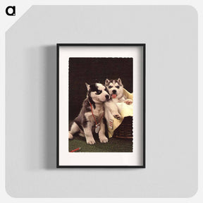 アートポスター-Siberian Huskies as Doctor and Patient
 - 国立医学図書館 Poster.