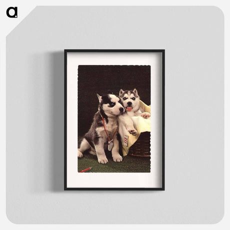 アートポスター-Siberian Huskies as Doctor and Patient
 - 国立医学図書館 Poster.