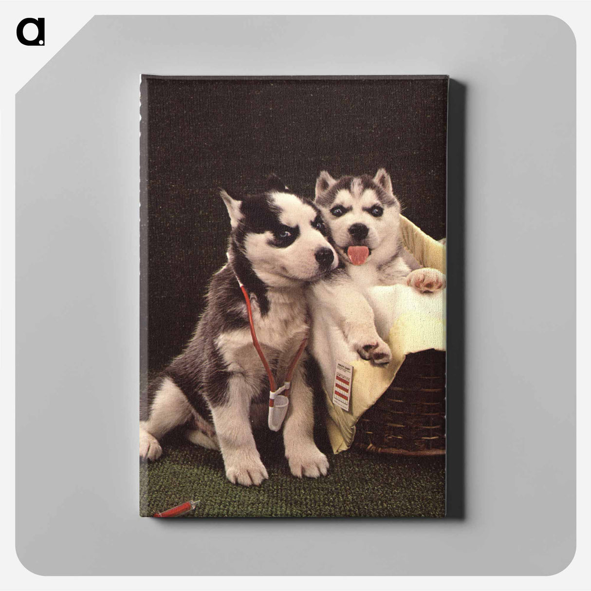 アートパネル-Siberian Huskies as Doctor and Patient
 - 国立医学図書館 Canvas.