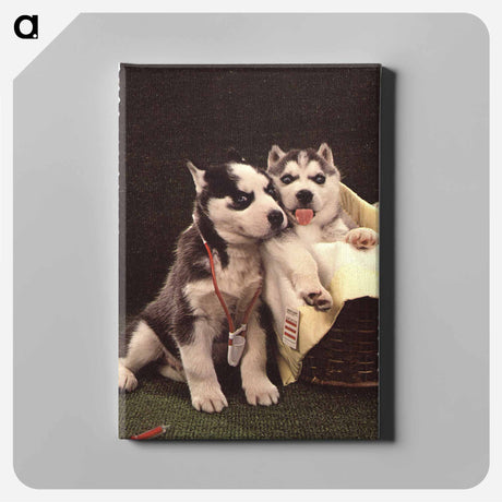 アートパネル-Siberian Huskies as Doctor and Patient
 - 国立医学図書館 Canvas.
