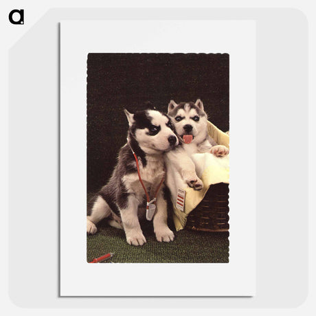 アートポスター-Siberian Huskies as Doctor and Patient
 - 国立医学図書館 Poster.