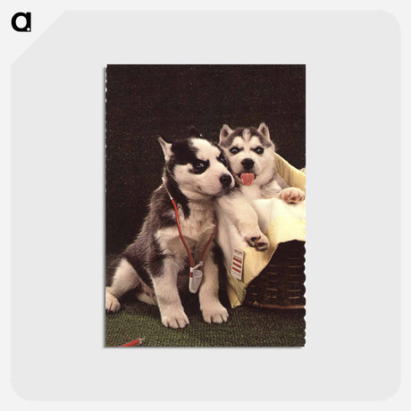 アートポストカード-Siberian Huskies as Doctor and Patient
 - 国立医学図書館 Postcard.