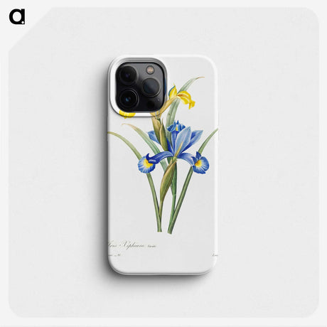 2-62_Pierre-Joseph-Redoute_phone