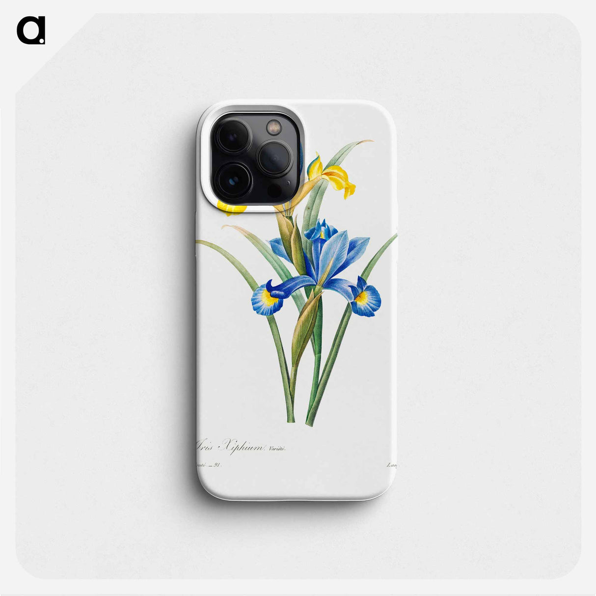 Spanish iris - ピエール ジョゼフ ルドゥーテ Phone Case.