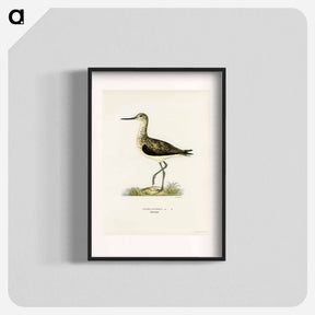 アートポスター-Greenshank
 - スヴェンスカ フォグラル Poster.