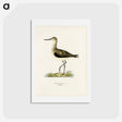 アートポストカード-Greenshank
 - スヴェンスカ フォグラル Postcard.