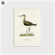 2-62_Svenska-Faglar_postcard