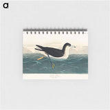 アートメモ帳-Dusky Petrel from Birds of America
 - アメリカの鳥たち Memo.