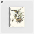 アートメモ帳-Warty-faced Honey-eater
 - オーストラリアの鳥 Memo.