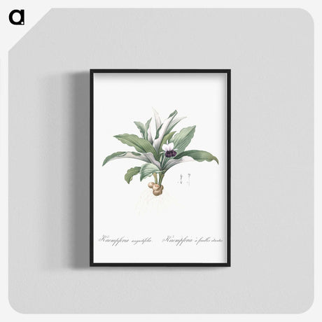 2-62_The-Lilies_blk-crop