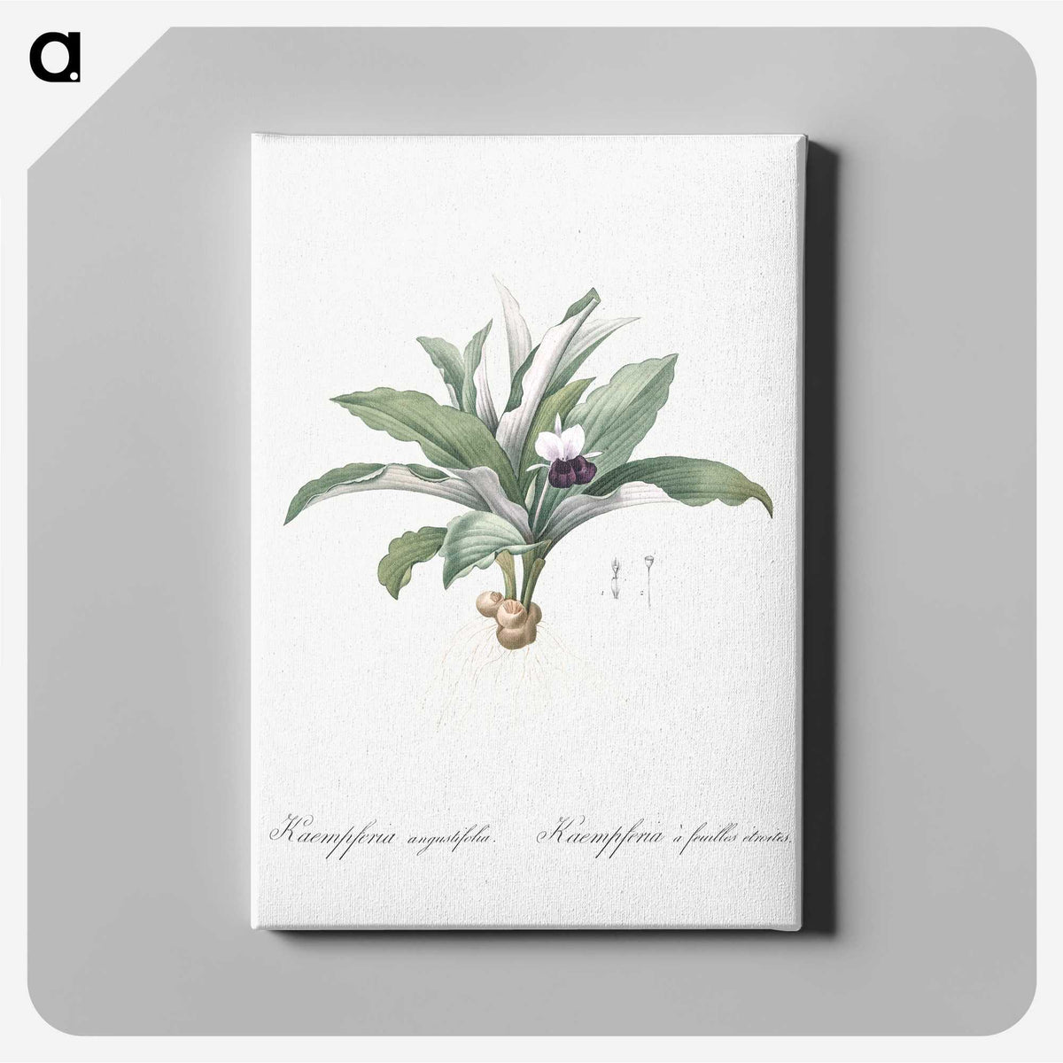 2-62_The-Lilies_canvas