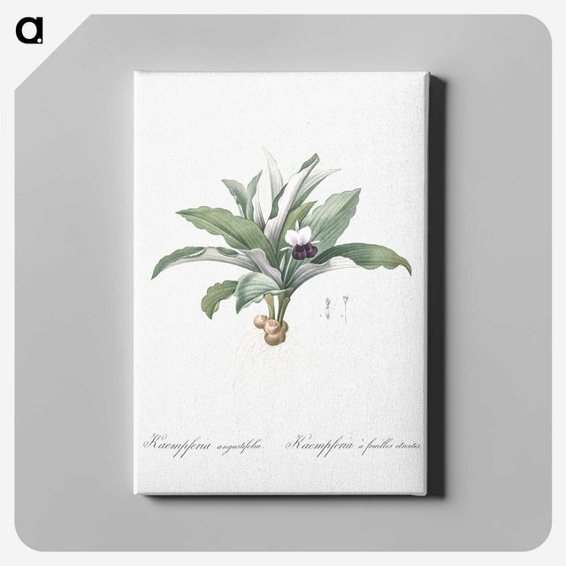 2-62_The-Lilies_canvas