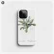 2-62_The-Lilies_phone