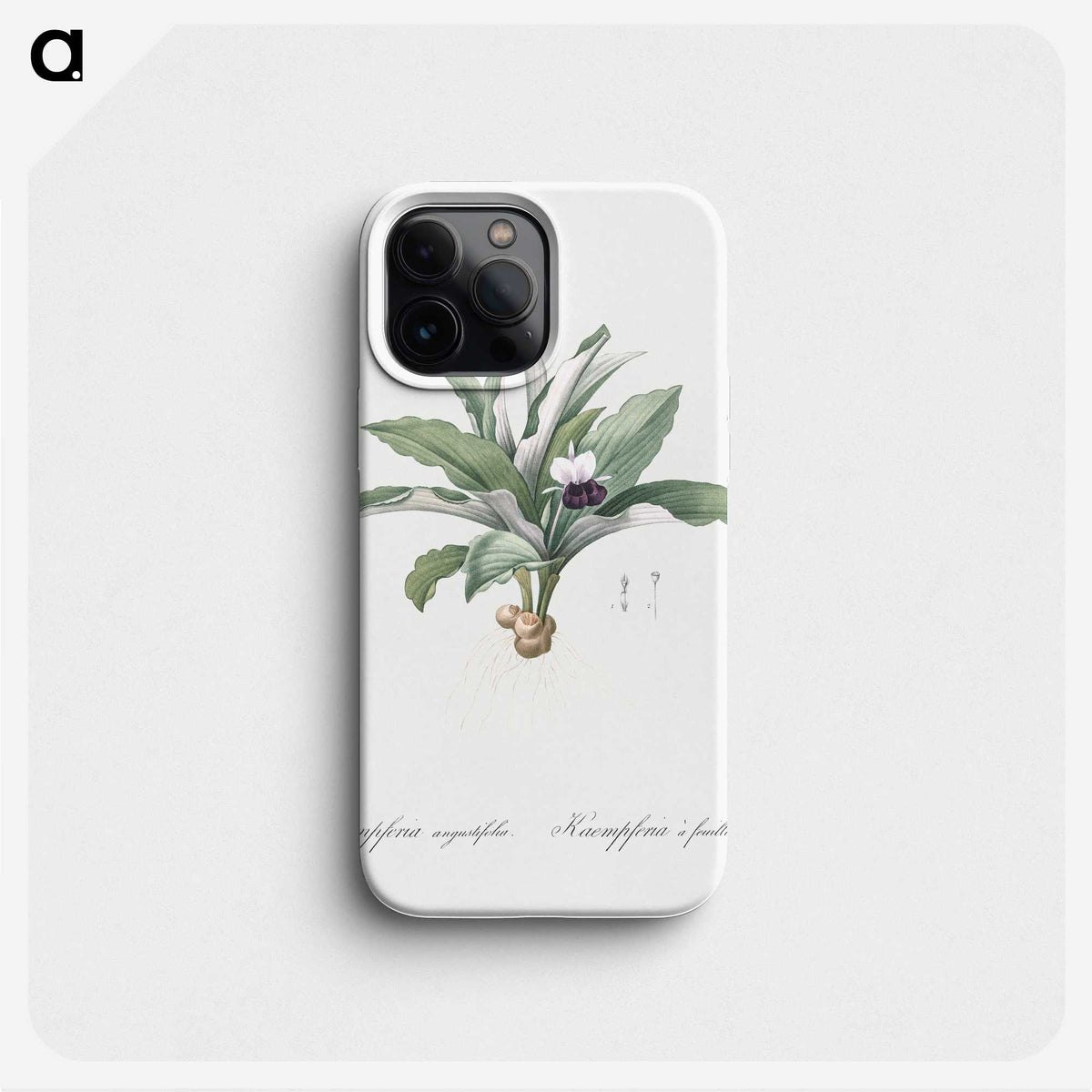 2-62_The-Lilies_phone