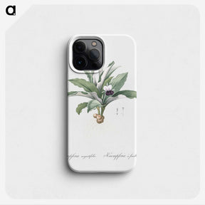 2-62_The-Lilies_phone