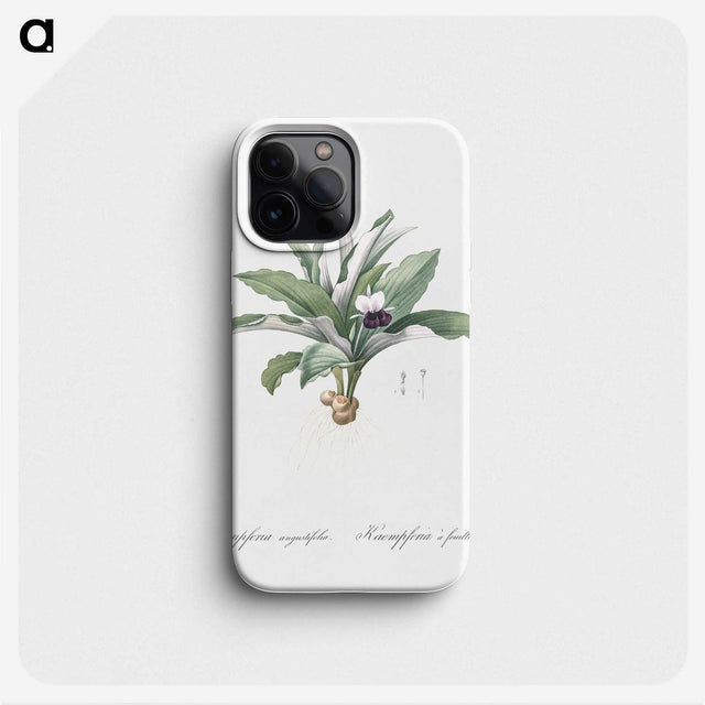 2-62_The-Lilies_phone