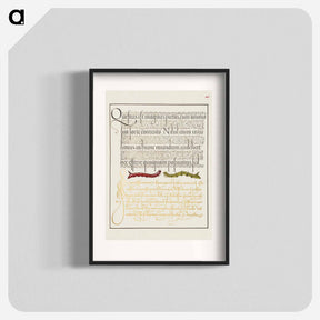 アートポスター-Caterpillars from Mira Calligraphiae Monumenta
 - 書道のお手本 Poster.