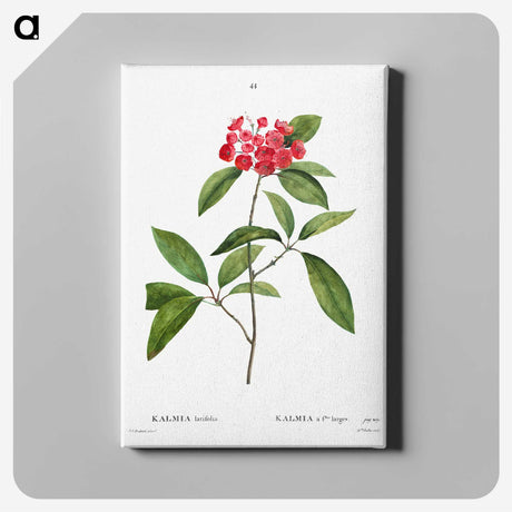 2-62_Treatise-on-Trees-and-Shrubs_canvas