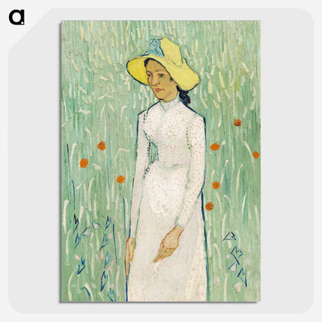 2-62_Vincent-van-Gogh_picture-crop