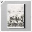 2-62_Yale-University-Art-Gallery_canvas