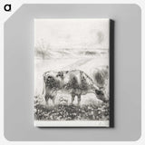 2-62_Yale-University-Art-Gallery_canvas