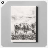アートパネル-La Vache (The Cow)
 - イェール大学アートギャラリー Canvas.