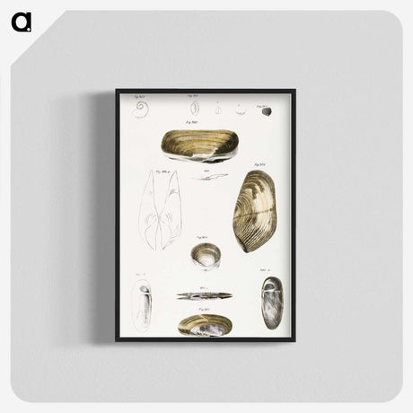 2-62_Zoology-of-New-York_blk-crop