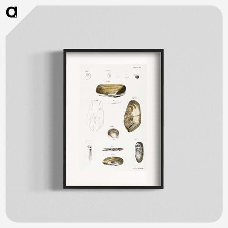 2-62_Zoology-of-New-York_blk