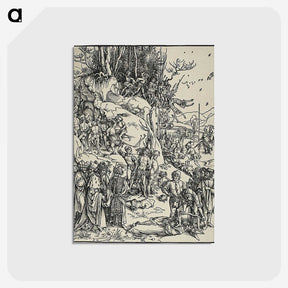 2-63_Albrecht-Durer_postcard