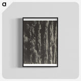 2-63_Alfred-Stieglitz_blk-crop