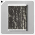 2-63_Alfred-Stieglitz_canvas