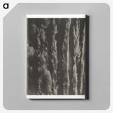 2-63_Alfred-Stieglitz_canvas