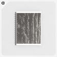 2-63_Alfred-Stieglitz_memo
